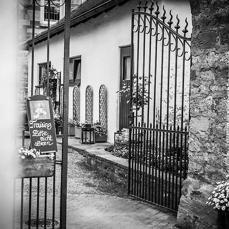 Schloss Neuburg Otel Mosbach  Dış mekan fotoğraf