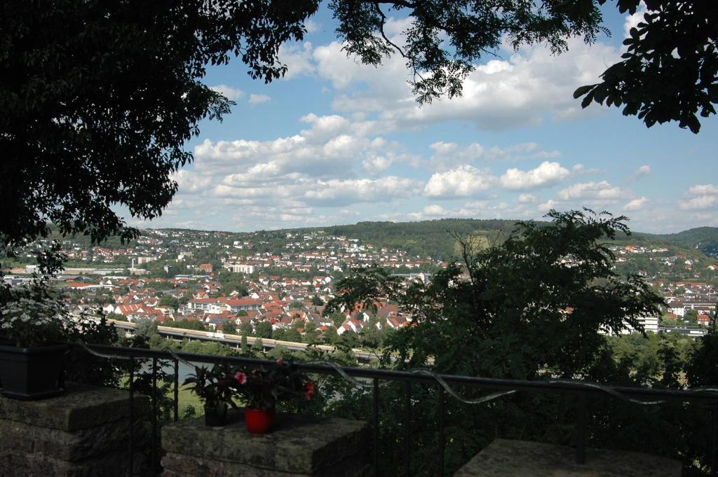Schloss Neuburg Otel Mosbach  Dış mekan fotoğraf