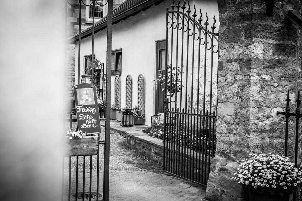 Schloss Neuburg Otel Mosbach  Dış mekan fotoğraf